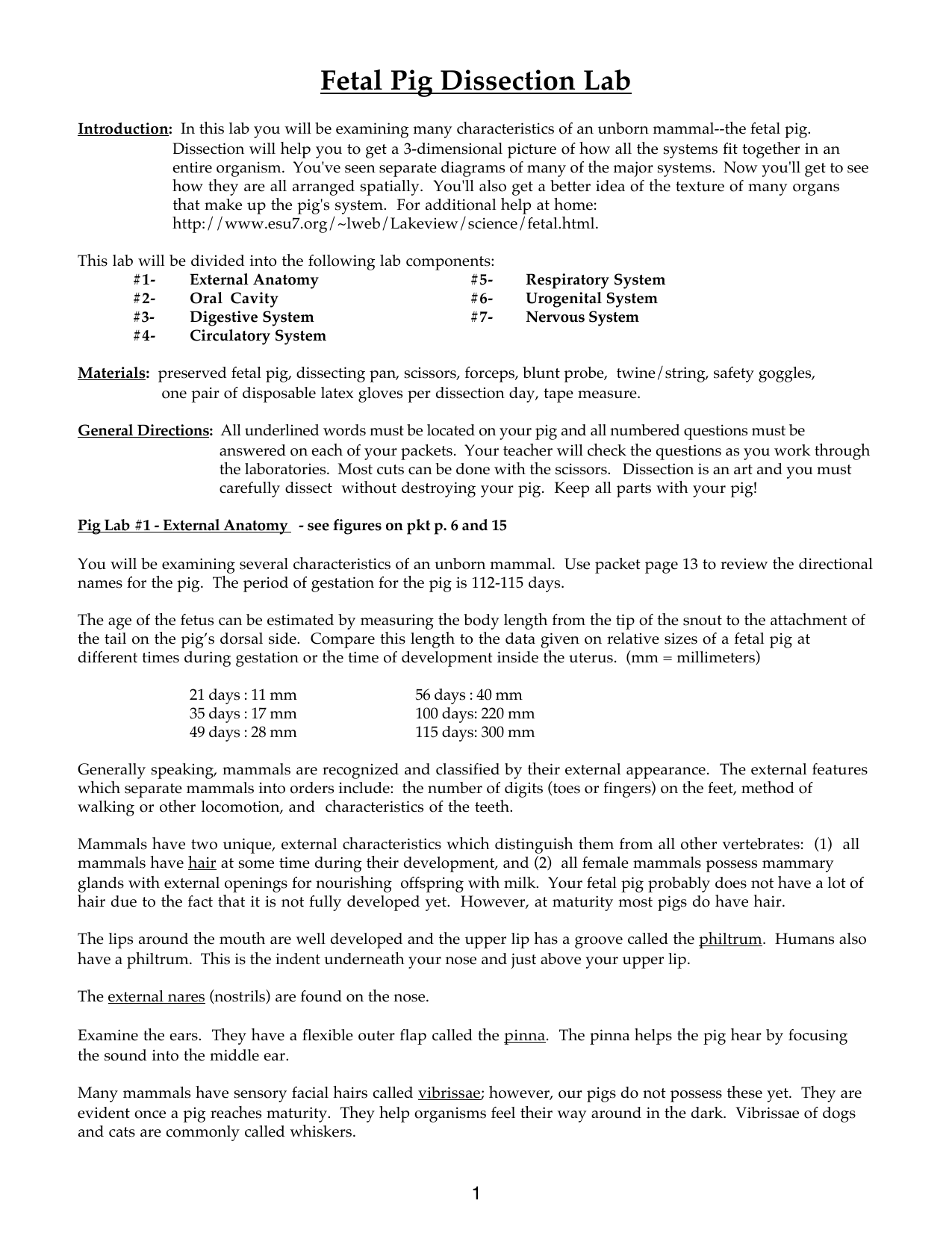 Fetal Pig Dissection Lab Answers