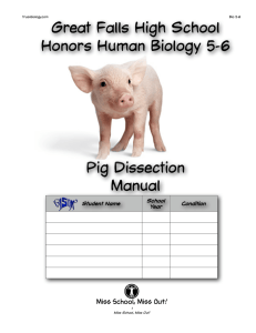 Bio 5-6 Fetal Pig Dissection