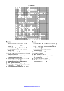 Genetics Crossword Answers - qldsciencetea…