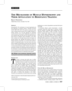 The mechanisms of muscle hypertrophy and their application to