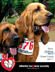 Paws Walking for a Great Cause