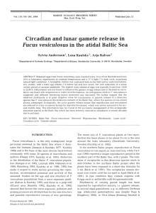 Circadian and lunar gamete release in Fucus vesiculosus in the