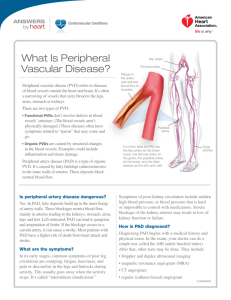 What Is Peripheral Vascular Disease?