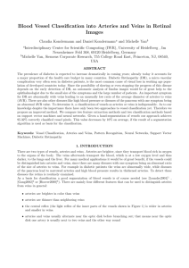 Blood Vessel Classification into Arteries and Veins in Retinal Images