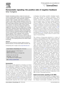 Homeostatic signaling: the positive side of negative feedback