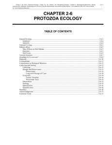 CHAPTER 2-6 PROTOZOA - Bryophyte Ecology