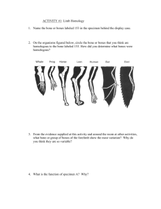 ACTIVITY #1: Limb Homology