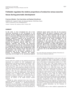 Follistatin regulates the relative proportions of endocrine versus