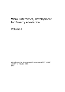 An Impact Study of Micro-Enterprises in