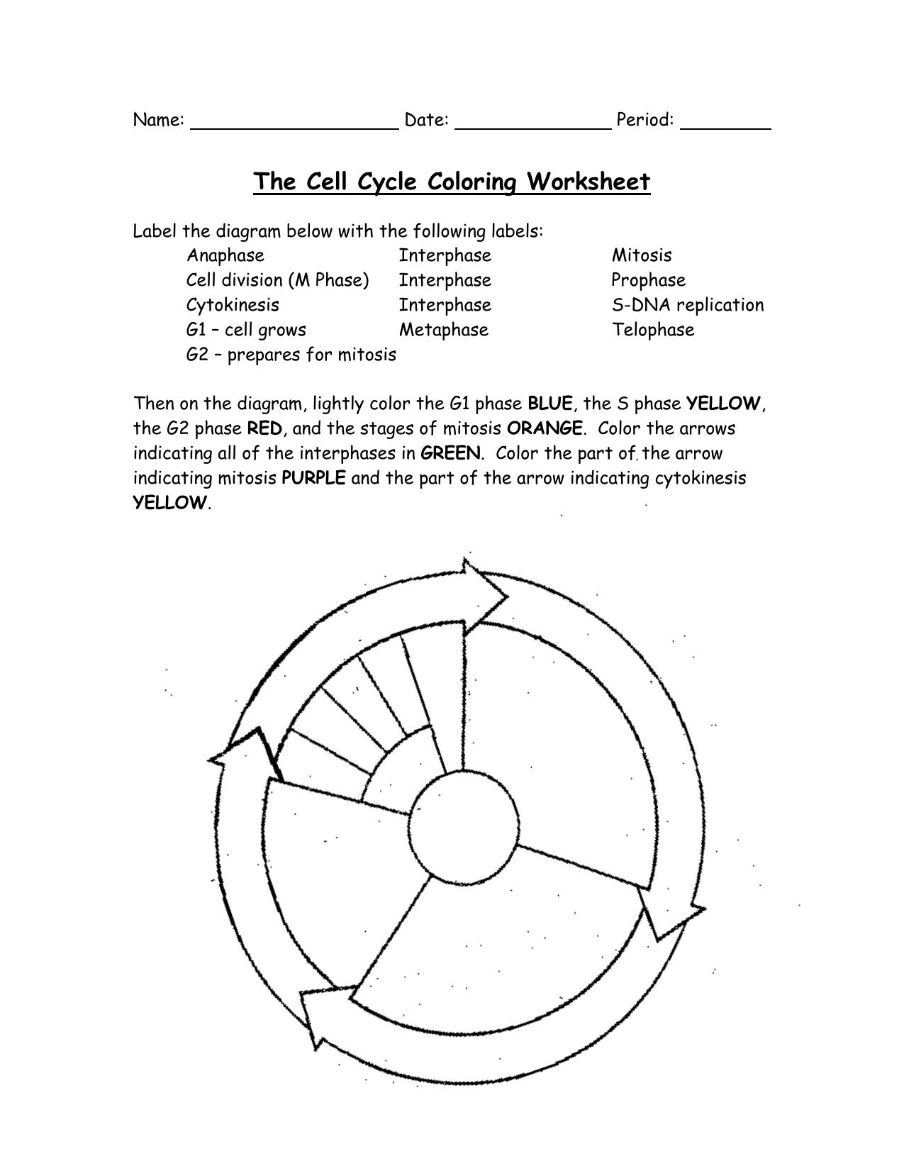 Cell Cycle Labeling Worksheet Answer Key