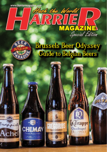 Brussels Beer Odyssey