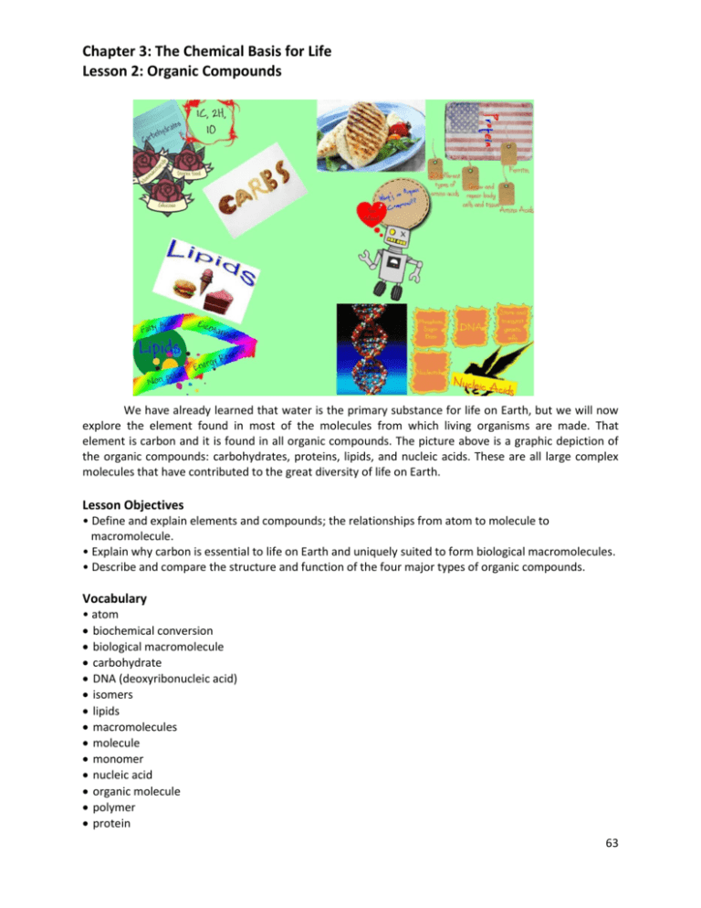 chapter-3-the-chemical-basis-for-life-lesson-2-organic-compounds