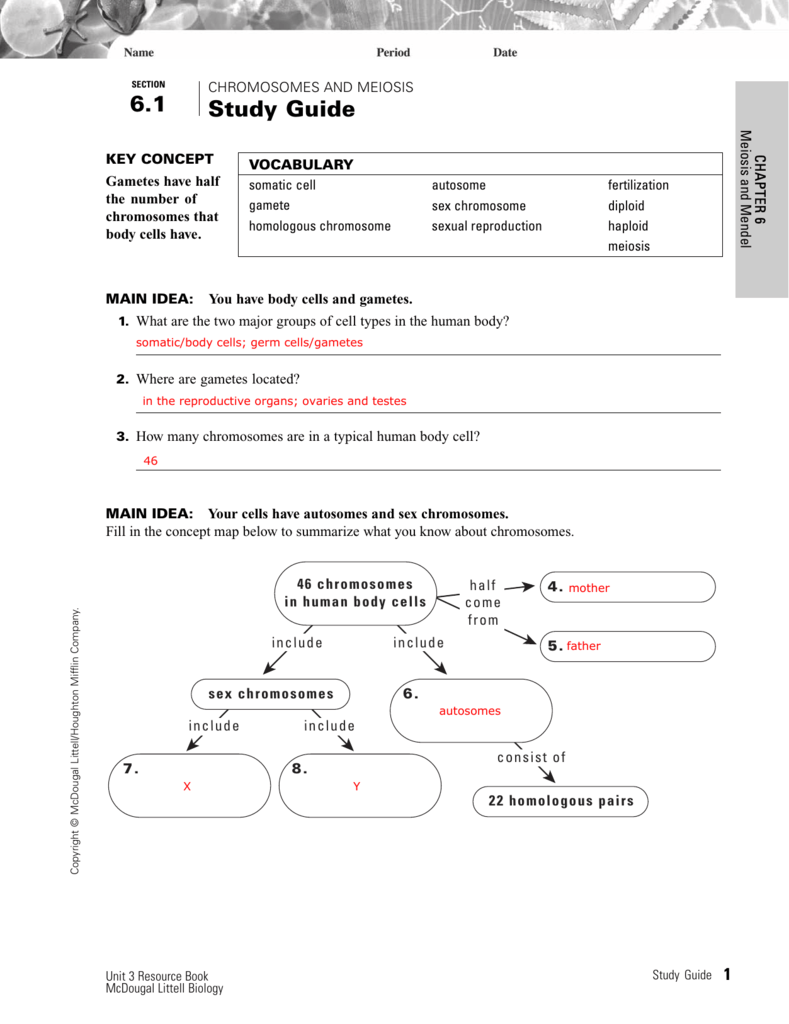 6 1 Study Guide Issaquah Connect