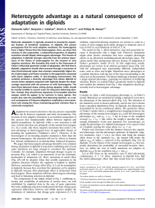 Heterozygote advantage as a natural