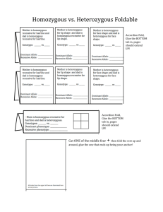 Homozygous vs. Heterozygous Foldable