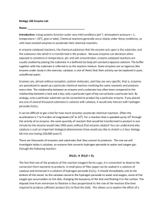 Enzyme Lab: Catalase Activity & Reaction Rates
