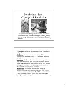 Metabolism - Part 1 Glycolysis & Respiration