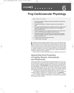 Frog Cardiovascular Physiology