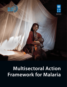 Multisectoral Action Framework for Malaria