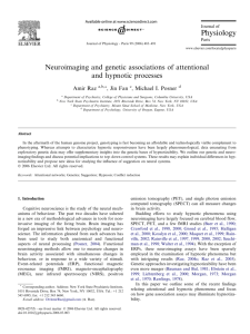 Neuroimaging and genetic associations of attentional and hypnotic