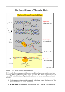 The Central Dogma of Molecular Biology