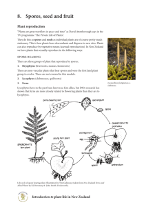 8. Spores, seed and fruit - New Zealand Plant Conservation Network