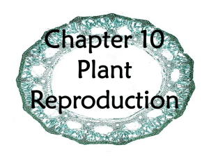 Chapter 10 Plant Reproduction