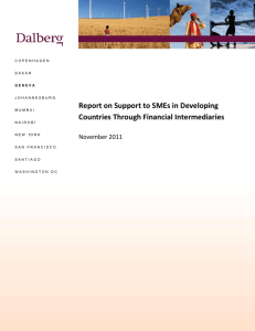 Report on Support to SMEs in Developing Countries Through