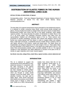CHARACTERSITICS OF THE HUMAN ABDOMINAL LINEA ALBA