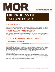 the process of paleontology
