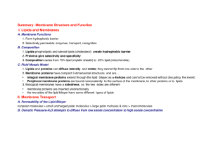 Chapter 7 - Membrane Structure