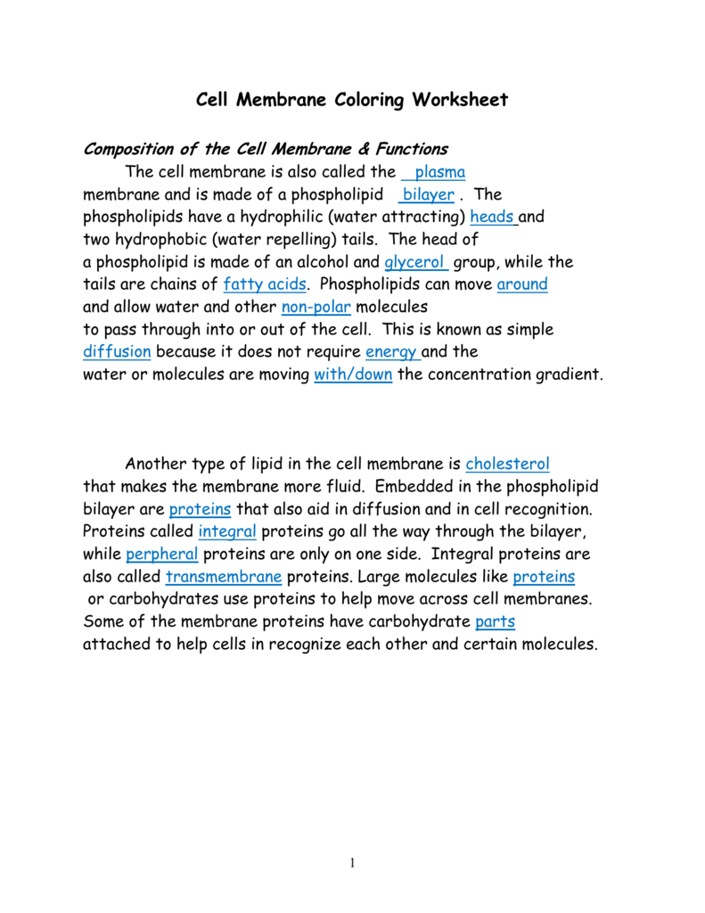 Cell Membrane Coloring Activity Answer Key