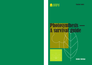 Photosynthesis — A survival guide