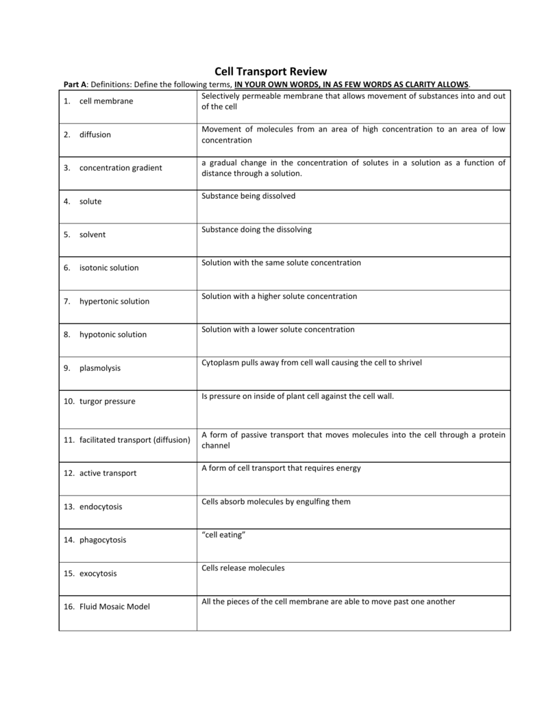 22-22-cell-transport-worksheet-answers