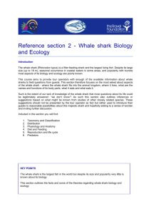Reference section 2 - Whale shark Biology and Ecology
