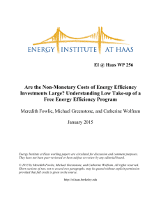 Are the Non-Monetary Costs of Energy Efficiency Investments Large