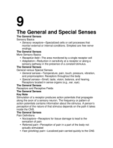 The General and Special Senses
