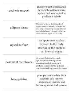 Print › Ch. 3 - Cells and Tissues | Quizlet