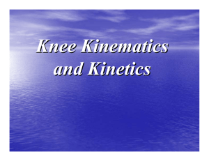 Knee Kinematics