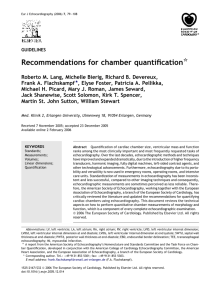 Recommendations for chamber quantification