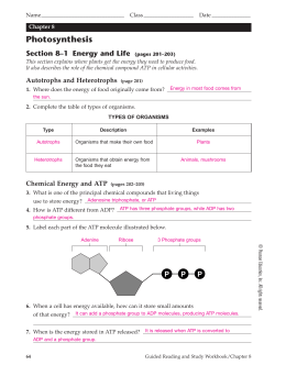 worksheet 5 vocabulary blood homework studylib.net  flashcards, help, research  Essys,