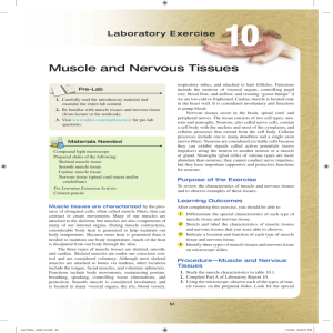 Muscle and Nervous Tissues - dumas