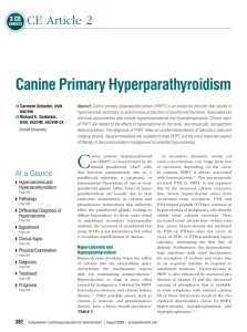 Canine Primary Hyperparathyroidism