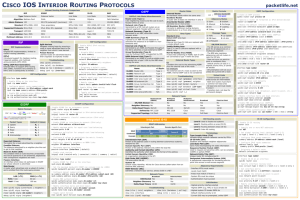 Visio-Internal Routing Protocols Poster.vsd
