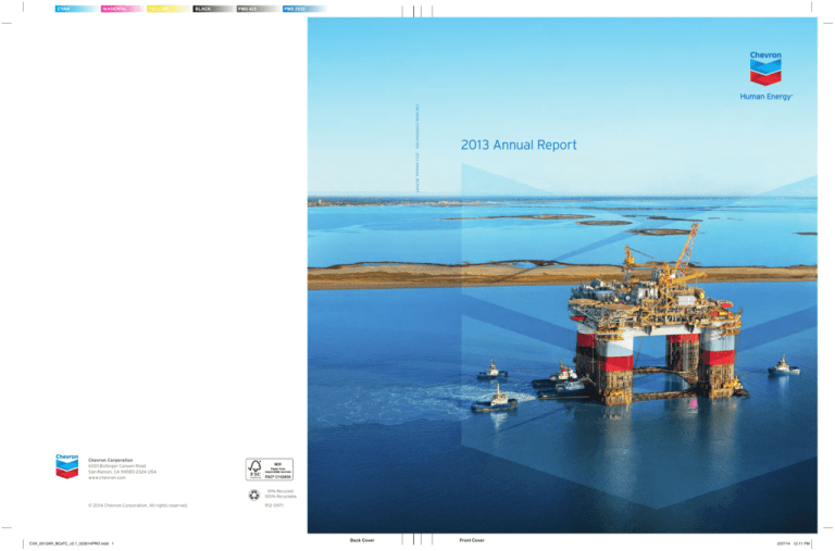 2013 Chevron Annual Report