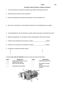 Name: Per: Thomases' Active & Passive Transport worksheet 1. The
