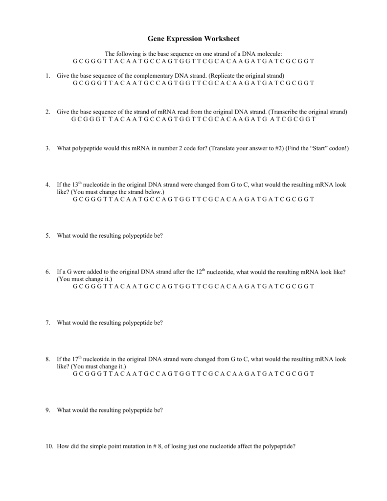 Gene Expression Worksheet