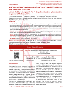 a novel method for coloring and labeling specimens in the anatomy