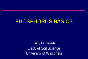phosphorus basics - Soil Science at UW