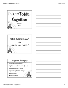 Infant/Toddler Cognition